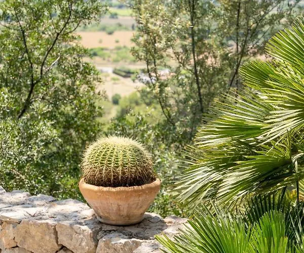 Seixanta Villa Port de Pollença